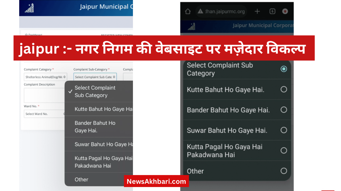 jaipur municipal website in hindi language