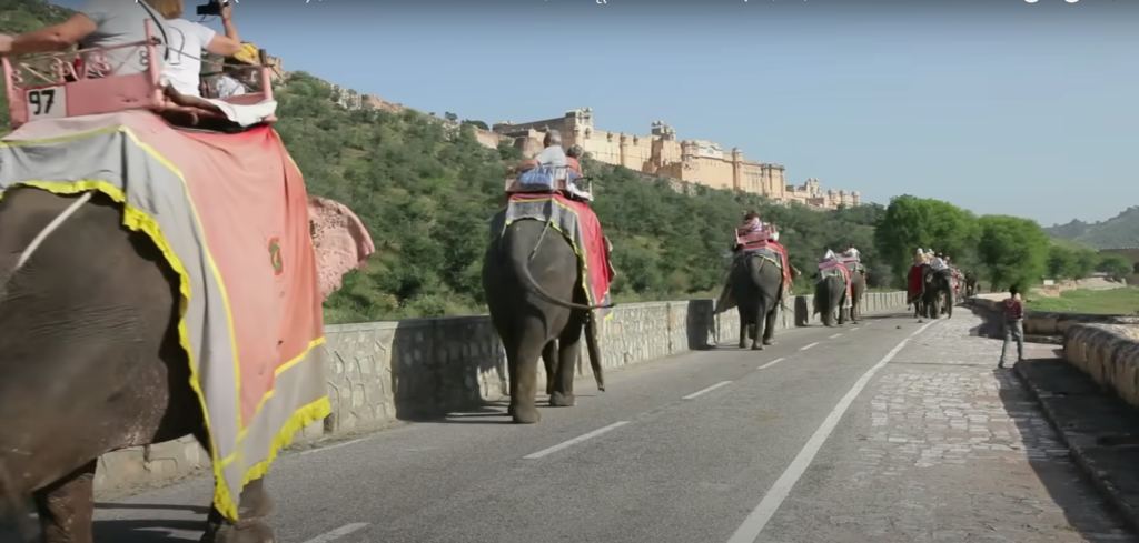 elephant ride at amer fort jaipur rajasthan